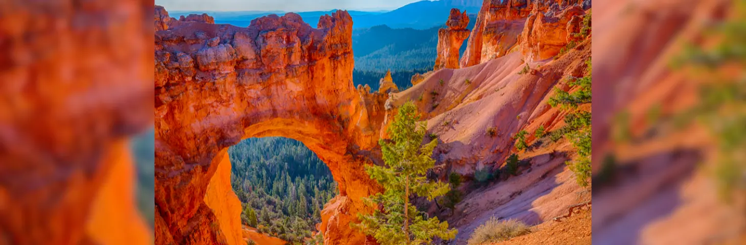 Image of Bryce Canyon National Park in Utah