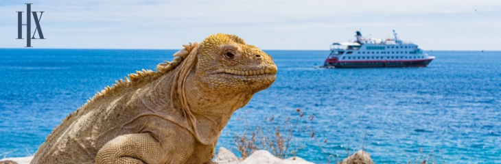 Reptilian creature with Hurtigruten Expeditions ship and logo in the backgroundpng